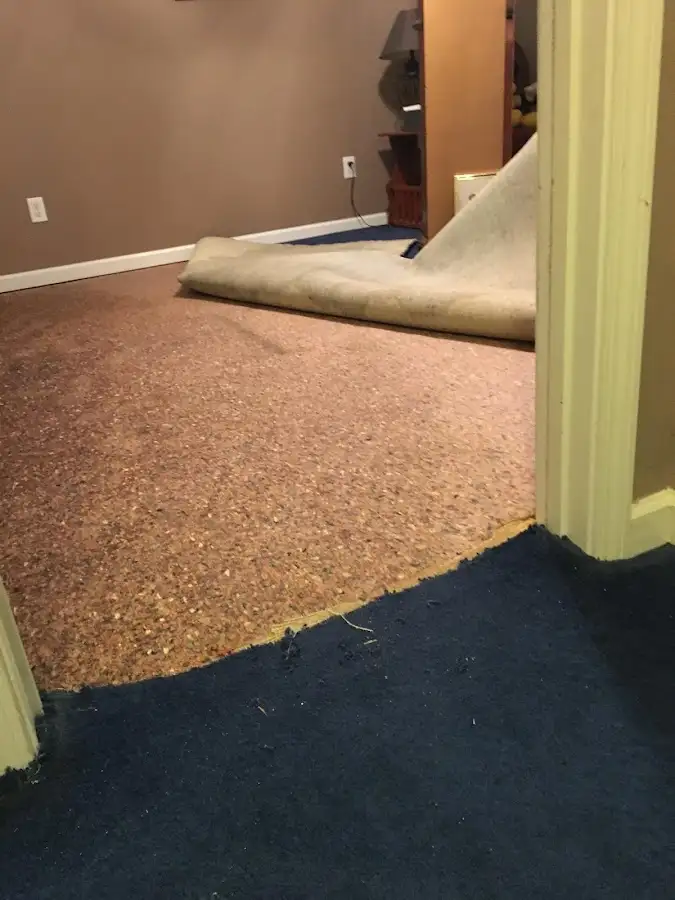 Carpet pad removal revealing water damage during Water Mitigation Services in Massena